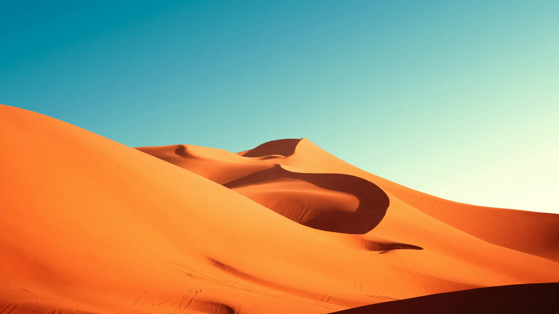 Sahara desert at sunset with golden dunes and a clear blue sky